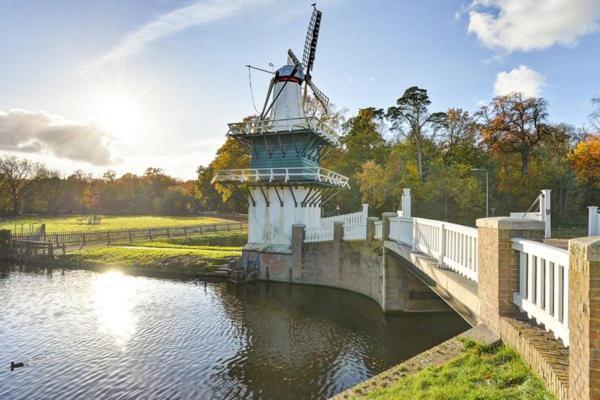 Tiny House Lindenhouse Bed and Breakfast Heemstede Buitenkant foto