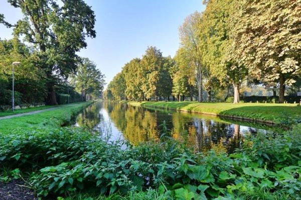 Tiny House Lindenhouse Bed and Breakfast Heemstede Buitenkant foto